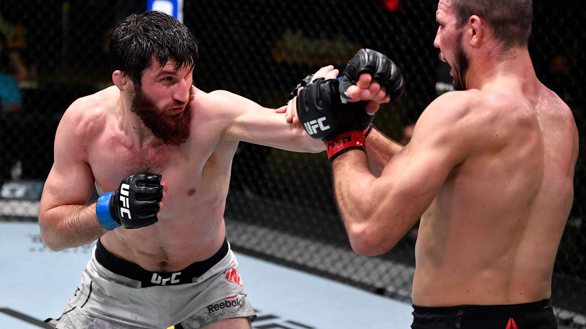 了主教练对 了主教练对